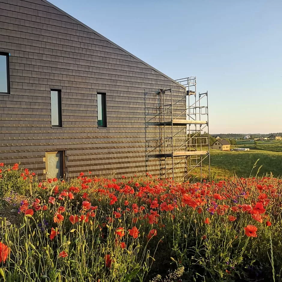 Čerpės fasado apdailai – kaip pasirinkti?