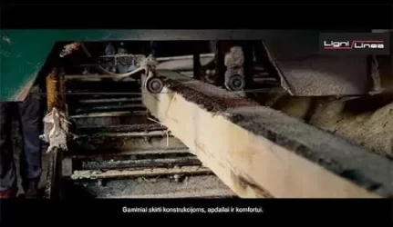 Statybinė / Konstrukcinė mediena