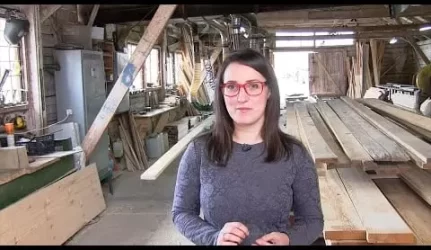 Statybinė mediena, terasinės lentos, dailylentės. Ką reikia žinoti