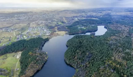 Gulbinų kvartalas, miškas
