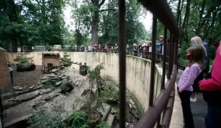 Lietuvos zoologijos sodo renovacija