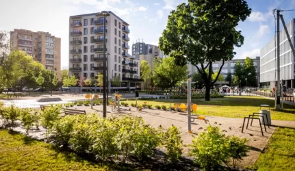 Viešųjų vietų apželdinimas