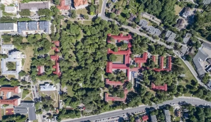 inventorizuojami Vilniaus želdiniai