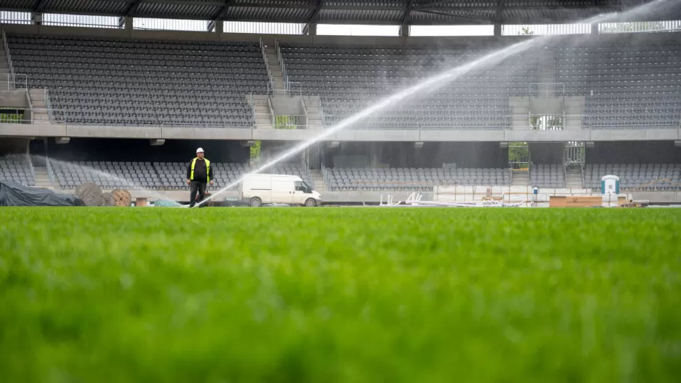 Kauno stadiono veja