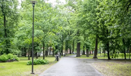 Vytauto parkas Kaune