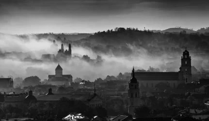 Anglių durpių draudimas