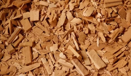 Priimti sprendimai, skatinantys didinti biokuro pasiūlą Lietuvos rinkoje