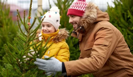 kalėdinės eglutės