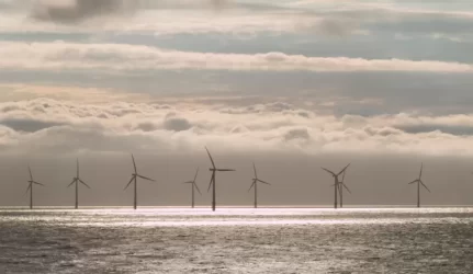 vėjo parkas jūroje