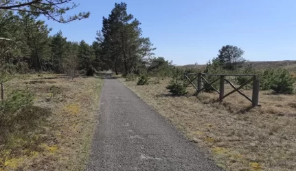 Juodkrantė dviračių takai