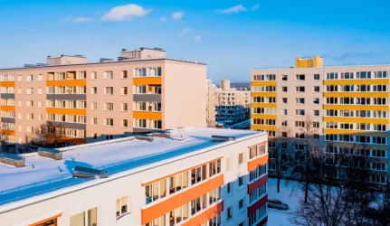 Renovacijos procesas