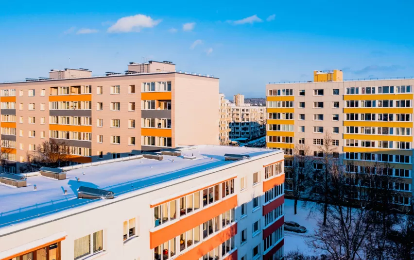 Renovacijos procesas