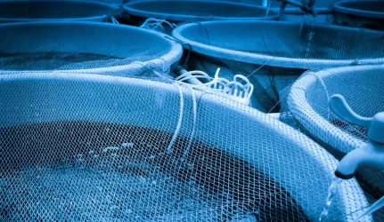 Statybos techninis reglamentas aquakultūra