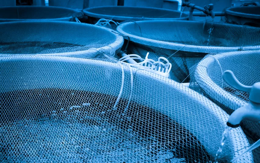 Statybos techninis reglamentas aquakultūra