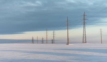 Elektra, kainos, prognozės