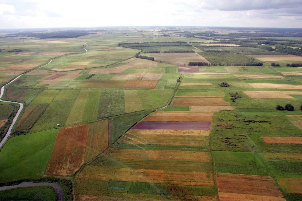 Valstybinė žemė žemėlapis