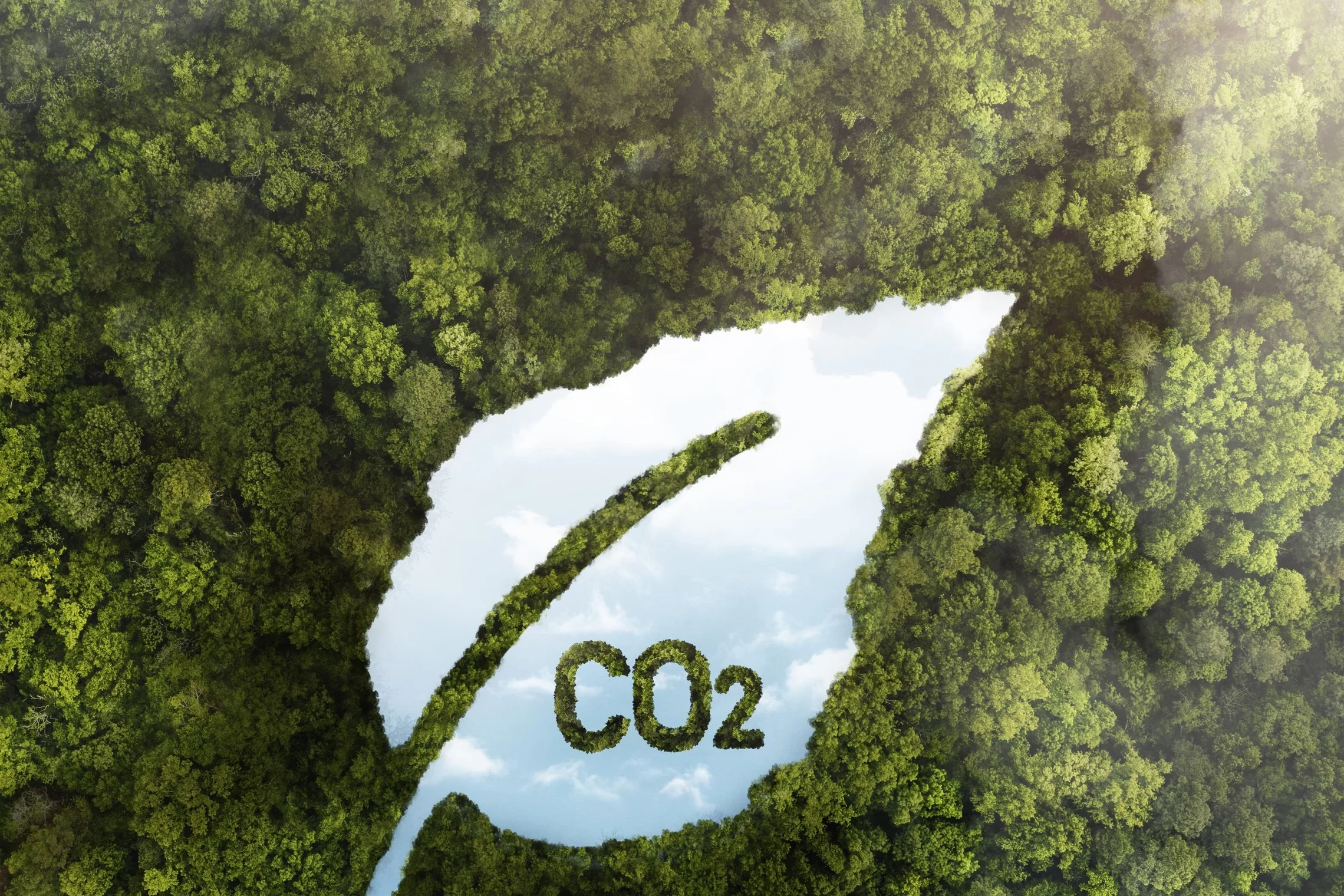 CO2 surinkimo šaltiniai