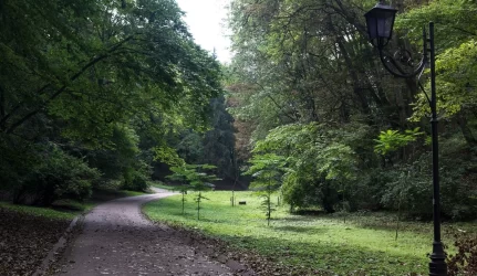 Miesto miškų sklypų formavimas