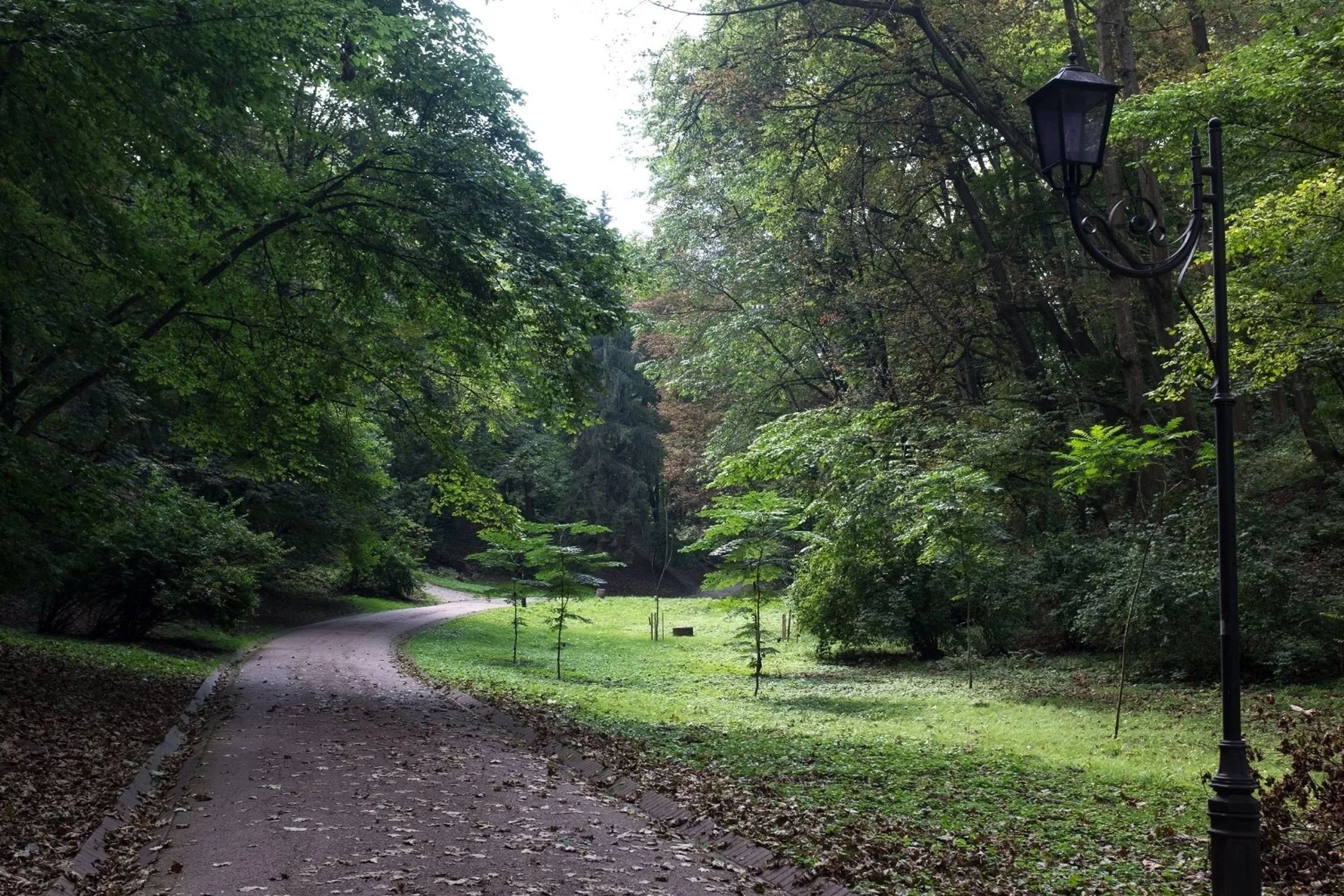 Miesto miškų sklypų formavimas
