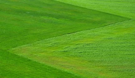 Sodininkų žemė