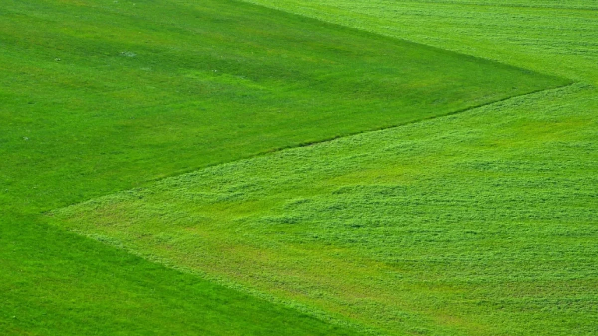 Sodininkų žemė