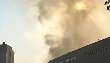 Gaisras medžio apdirbimo gamykloje