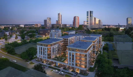 Nipiki Urban Merko projektas