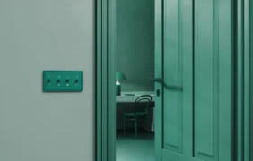 Slapta, bet svarbi detalė Danthree Studio nuotr.