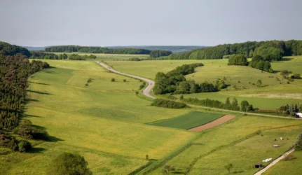 Valstybinė žemė