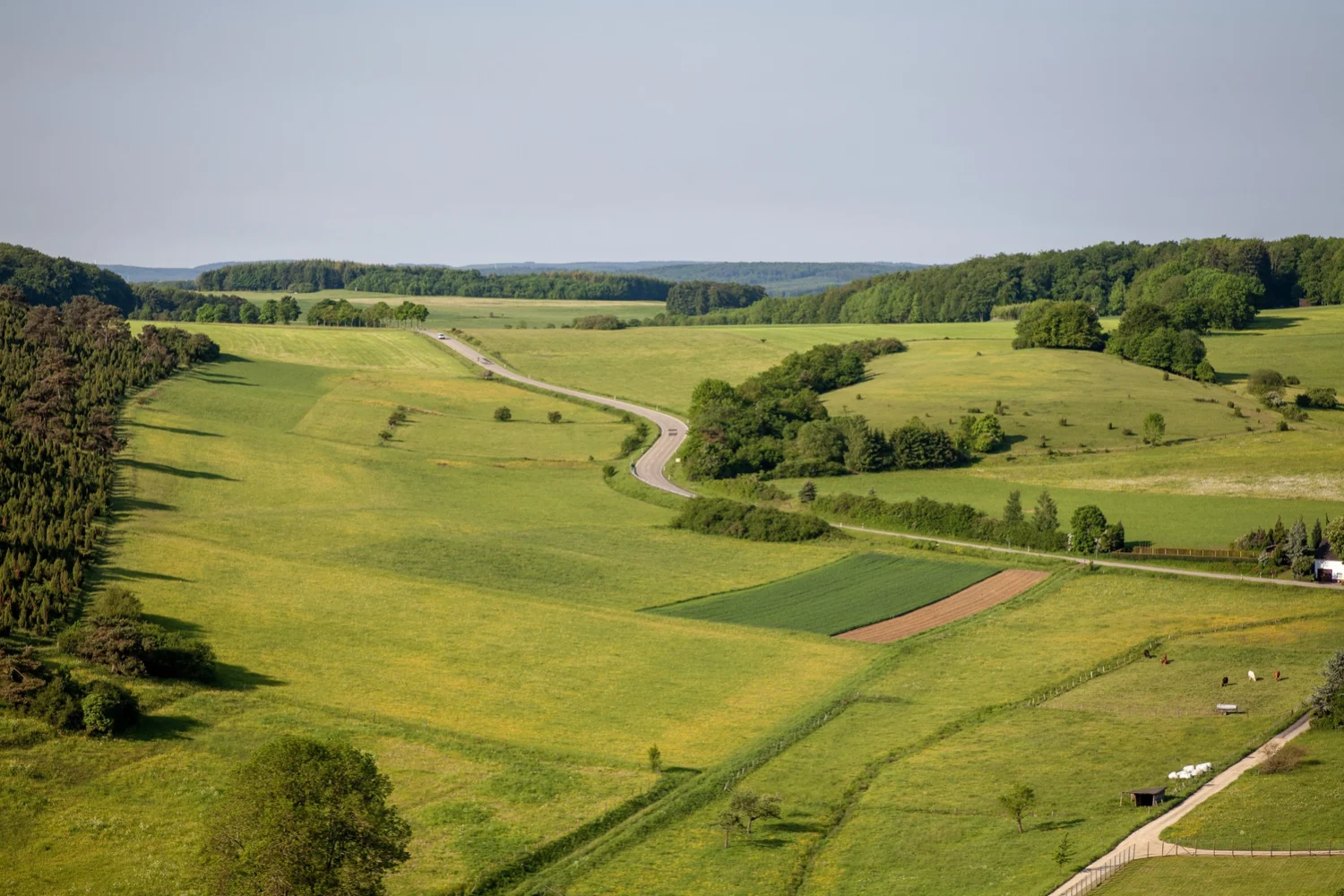 Valstybinė žemė