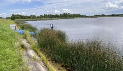 Bartkuškio tvenkinio vandens lygis