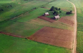 valstybinės žemės nuoma