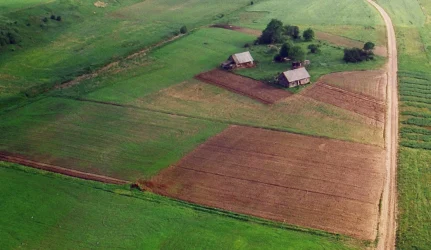 valstybinės žemės nuoma