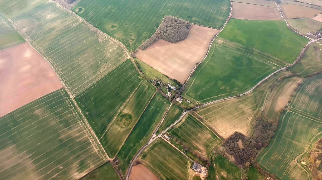 Valstybinė žemė NŽT