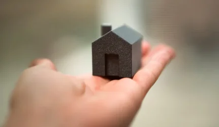 Būsto pardavimas su paskola