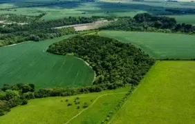 Nacionalinė žemės tarnyba konsultavimas