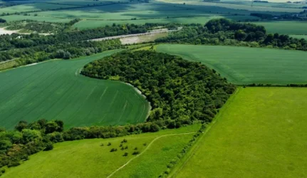 Nacionalinė žemės tarnyba konsultavimas