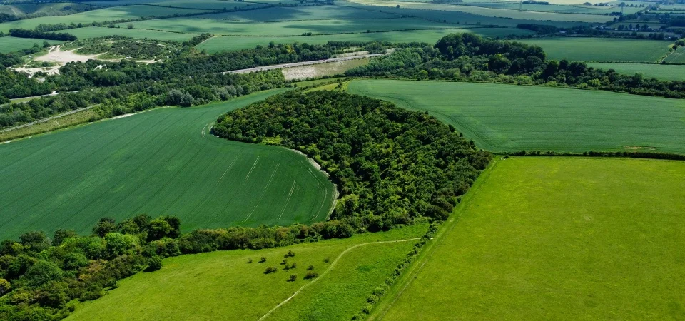 Nacionalinė žemės tarnyba konsultavimas