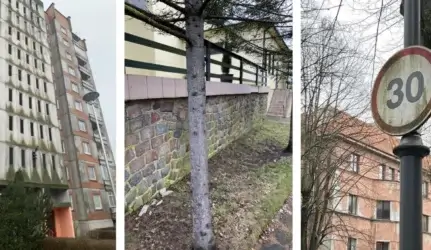 Žaliavimas ant paviršių