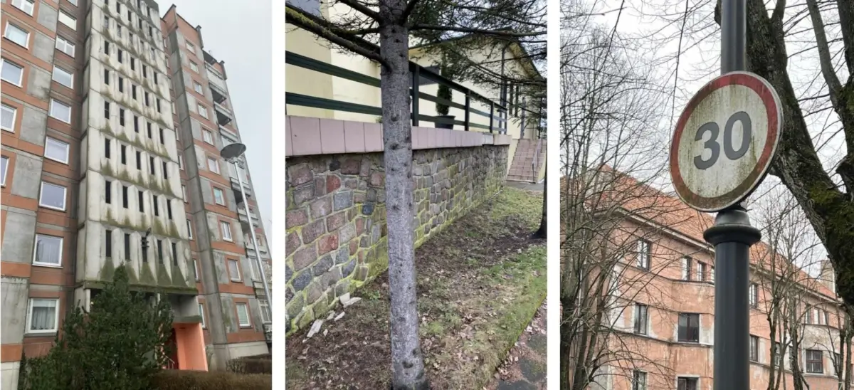 Žaliavimas ant paviršių