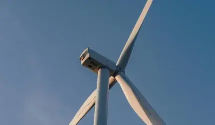 Atsinaujinantys ištekliai