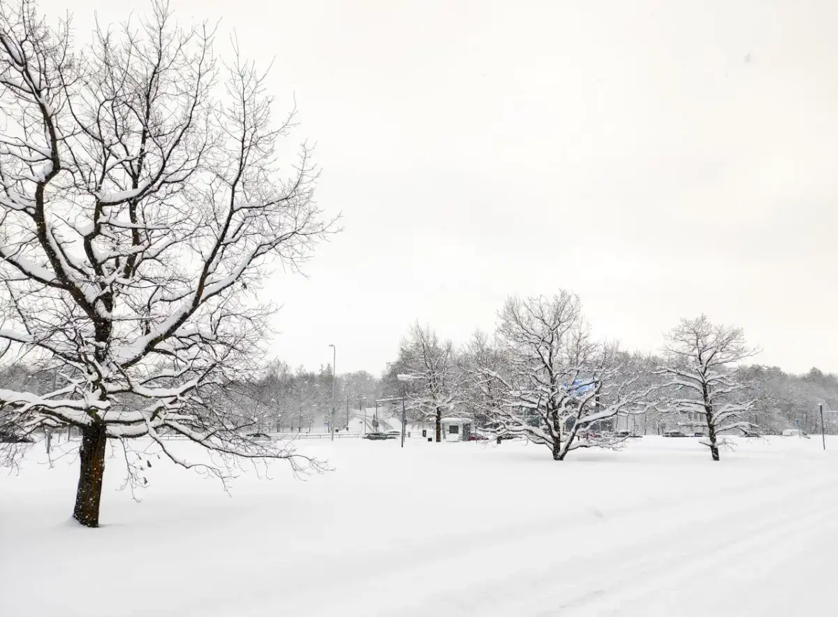 Sniegas, gyventojų būstas