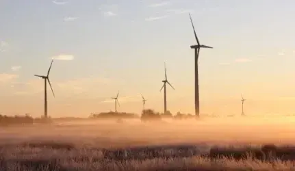 Žiema elektros kaina