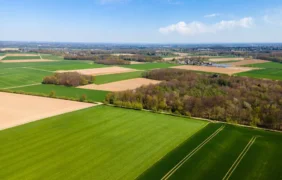 Žemės informacinė sistema