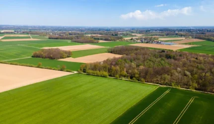 Žemės informacinė sistema