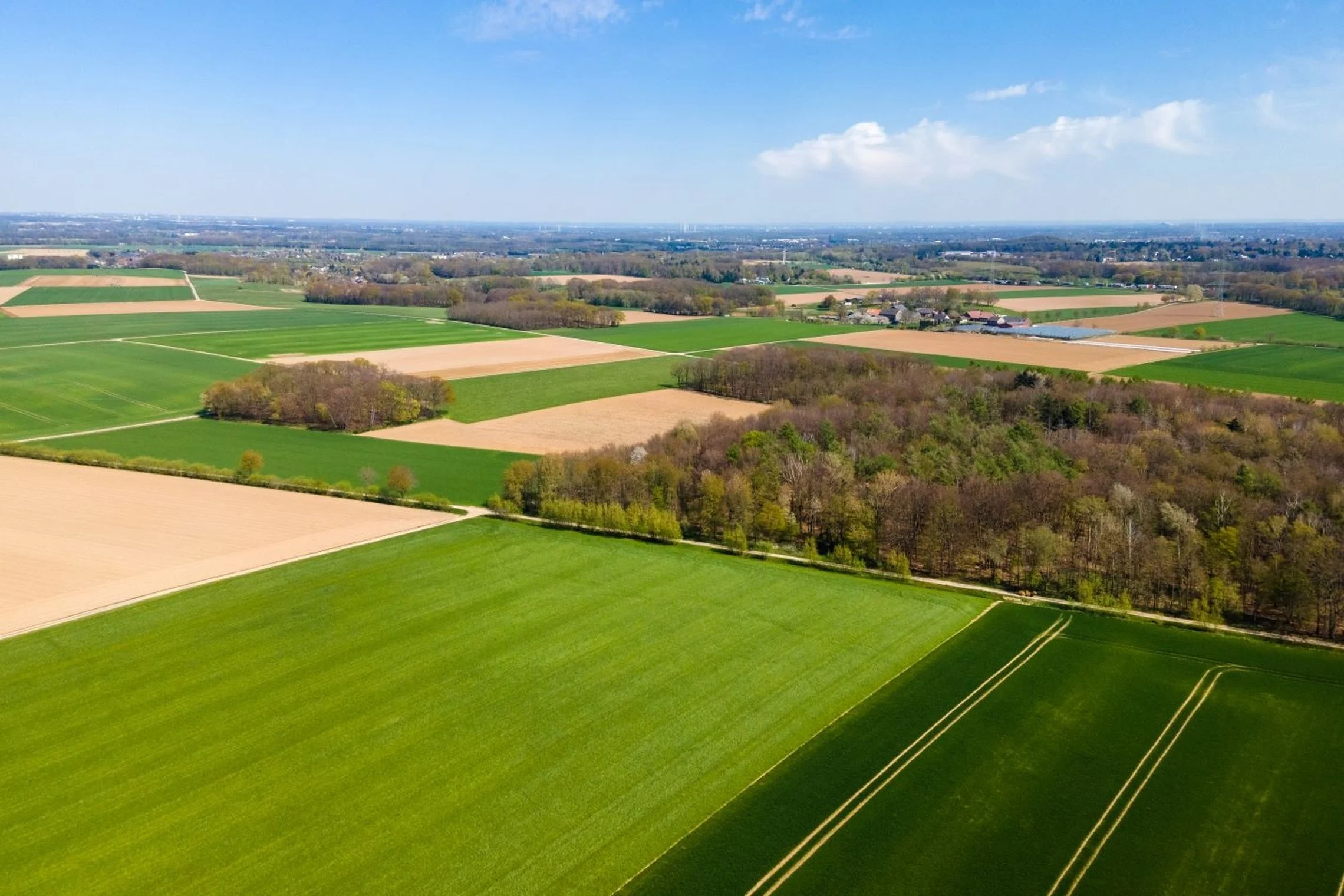 Žemės informacinė sistema