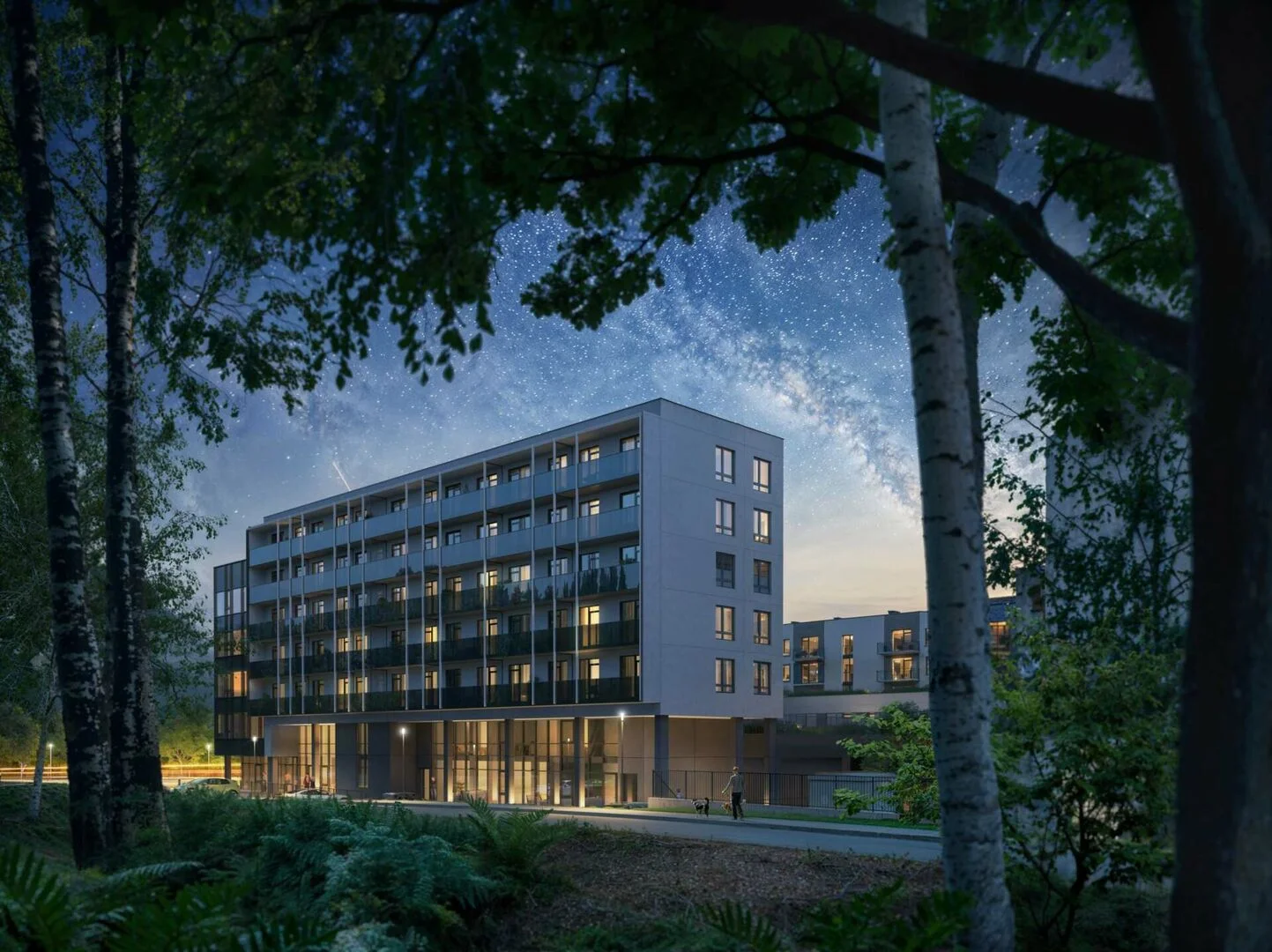 Paukščių takas vizualizacija