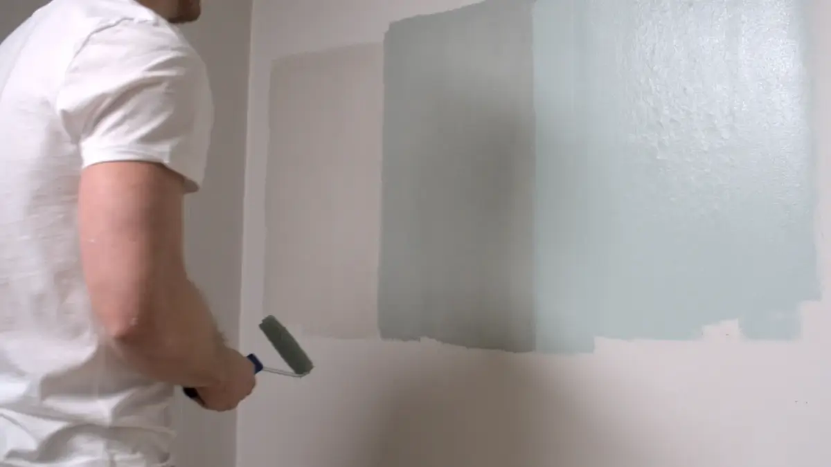 spalvos testas ant sienos