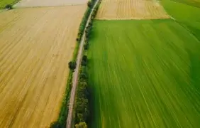 žemės sklypo unikalus numeris