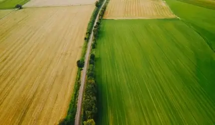 žemės sklypo unikalus numeris